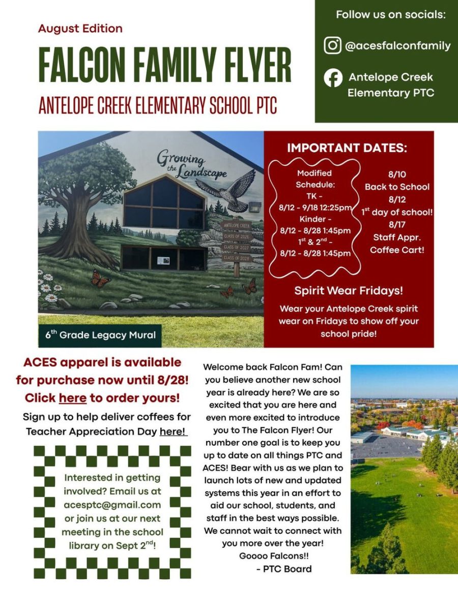 August Falcon Family Flyer